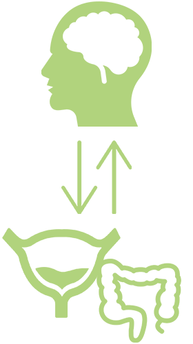 bladder, bowels and brain